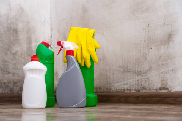 Mold Remediation for Rental Properties in Forest Hill, TX